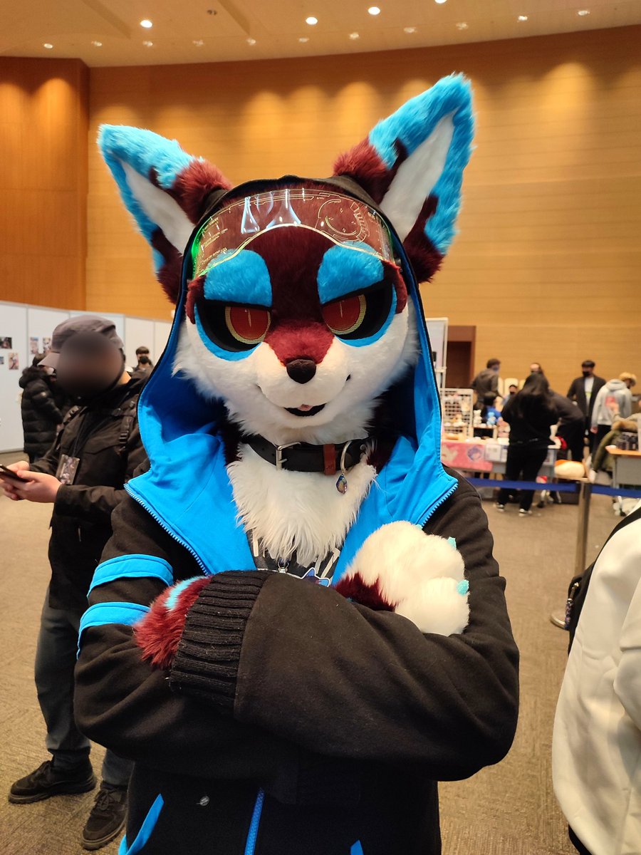 tailwin_d's tweet image. 퍼조 미리보기