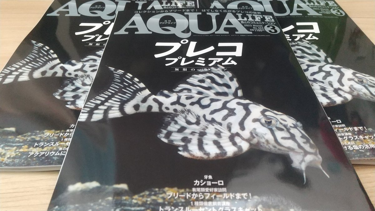 pleco_gurashi's tweet image. 3冊目届いた😂笑
#プレコ暮らし #月刊アクアライフ