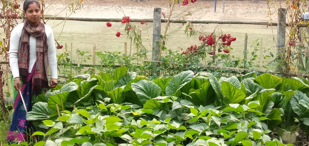 Our Farmpreneur student at Rongamati High Secondary School, Golaghat, Assam had started their #SchoolNutritionGarden few years back. Look at the harvest.. Refreshing green and nutritious. #poshanabhiyaan #Entrepreneurship