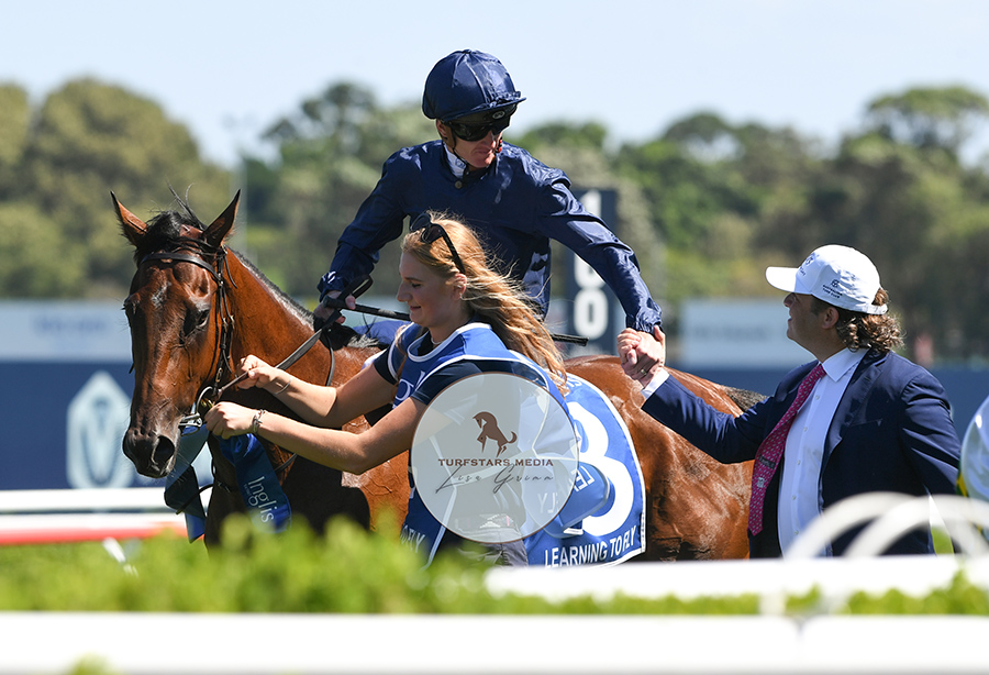 TURFSTARS Media tweet media