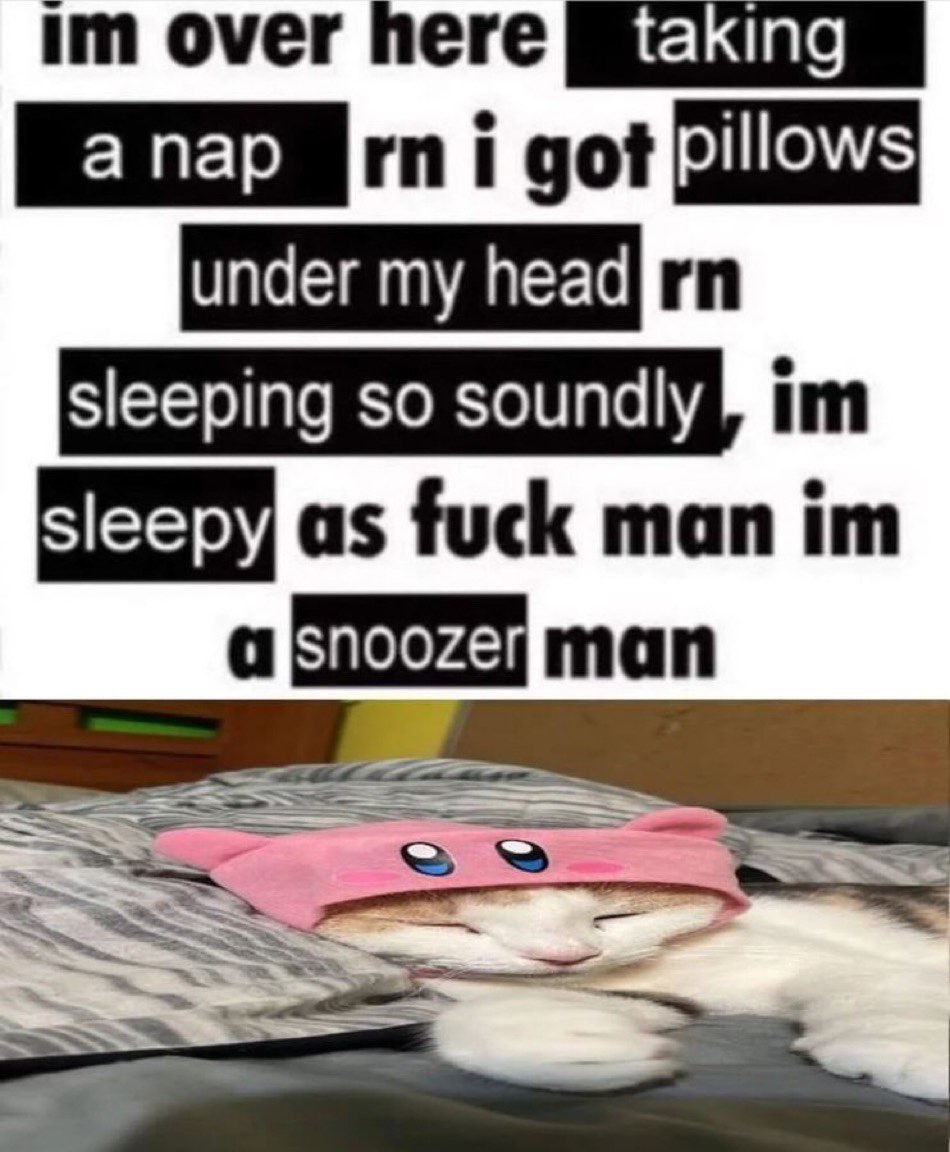 literallymecats's tweet image. 