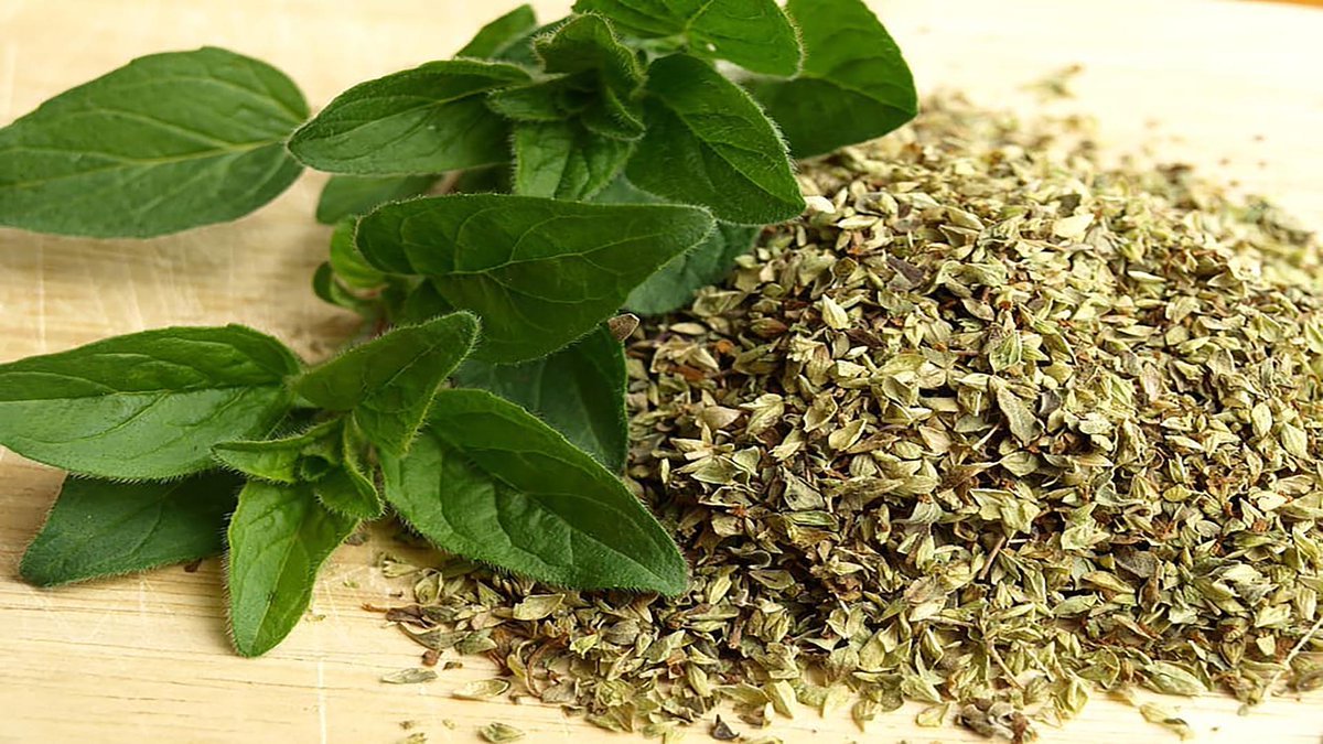 sage_s65739624's tweet photo. A key component of the Mediterranean diet is #Oregano. It not only adds flavor to your recipes but also offers a lot of #HealthAdvantages. It might have #Antibacterial, #Anti_inflammatory, and #Antioxidant effects. #BenefitsOfOregano #HealthBenefits
https://t.co/crCN5jBJwH https://t.co/xsBw5730iP