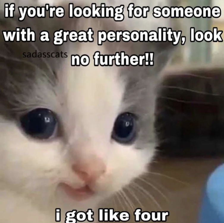 literallymecats's tweet photo. https://t.co/pkUs9U5fip