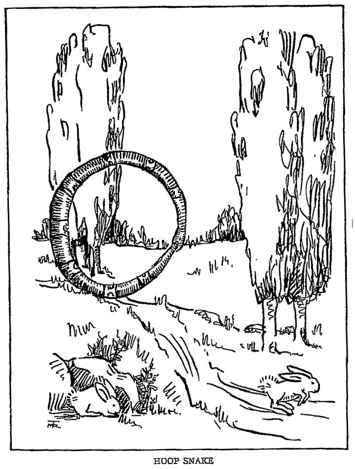 the legendary hoop snake 