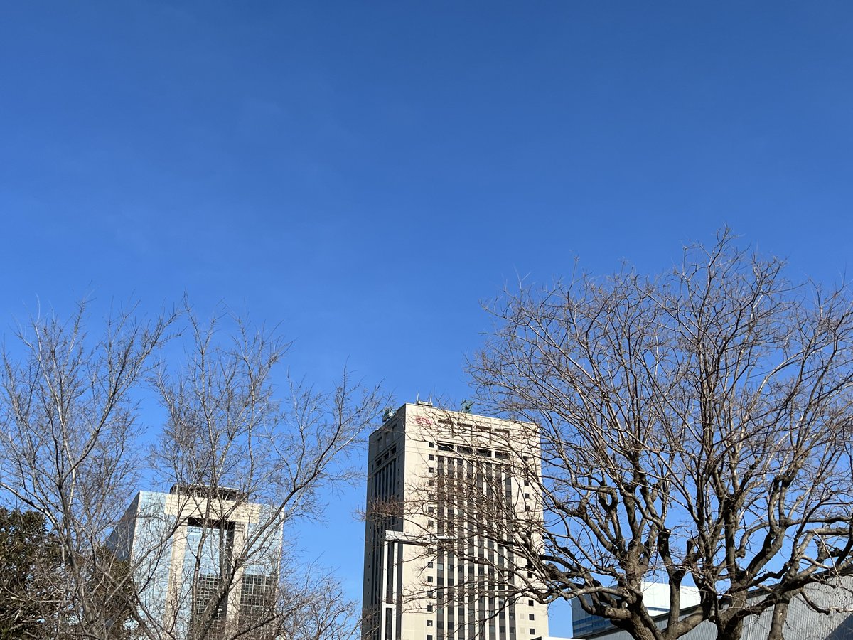 夏川さん ͟│⁴⁶百舌坂46 on Twitter