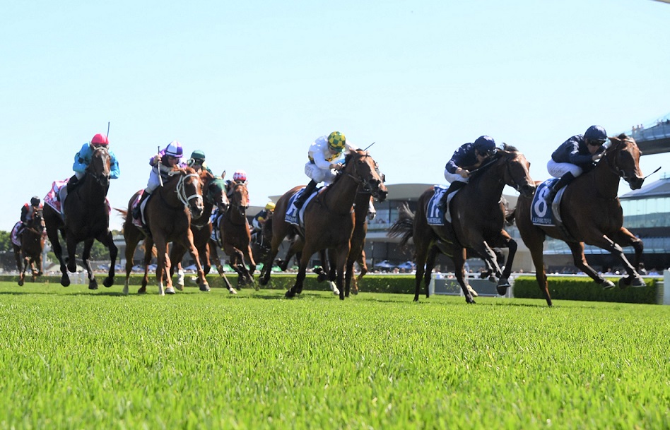 Racing NSW on Twitter ""She's just got a beautiful turn of foot and