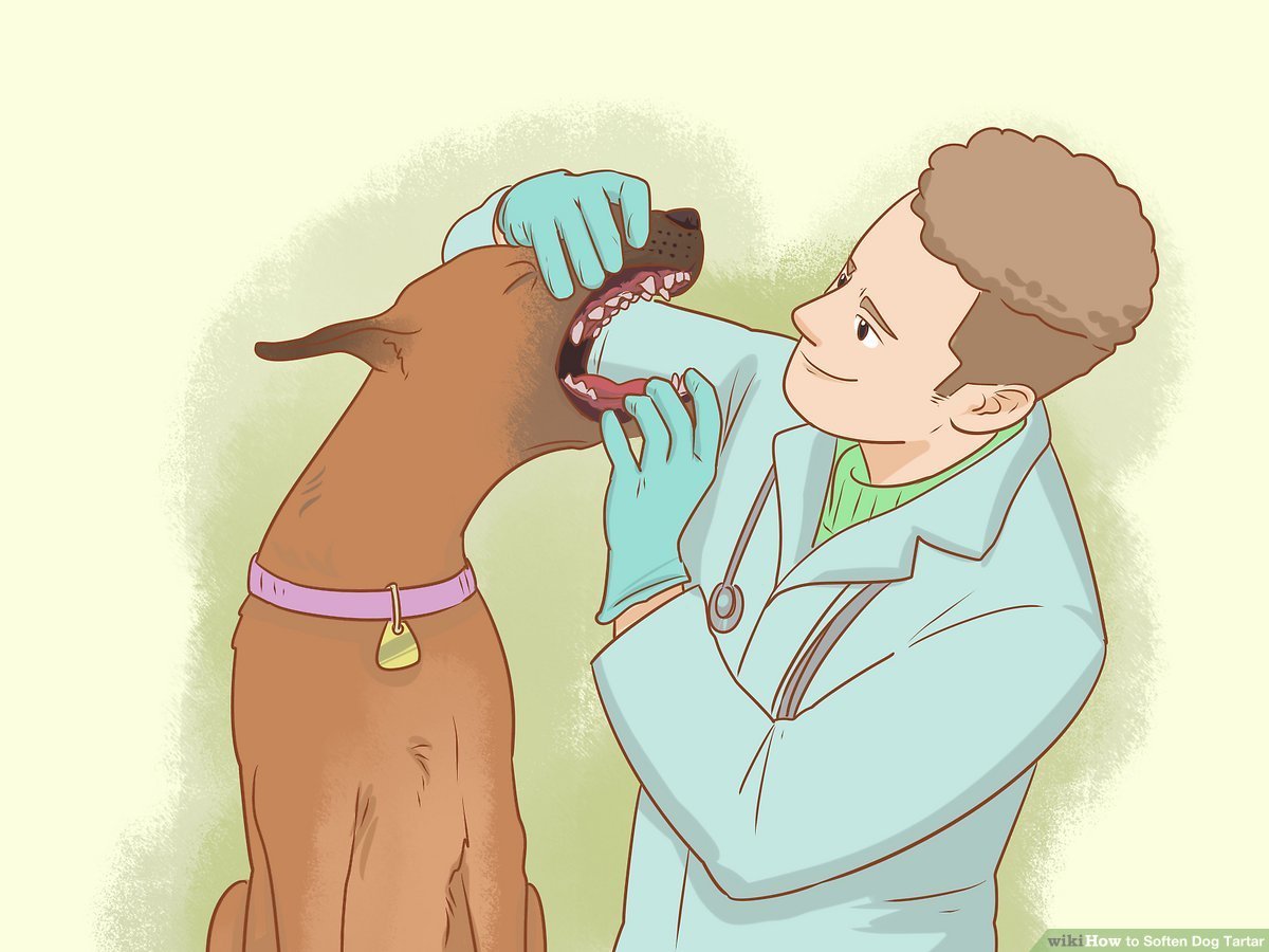 society attempting to pry the Polly Pocket accessories out of my mouth :