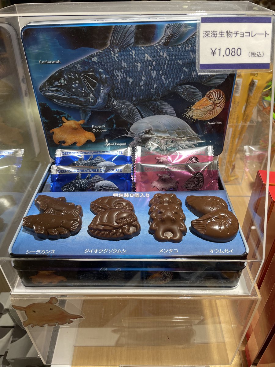 本日は #バレンタイン！ ／ 深海イベント開催に伴い、ショップ アクア