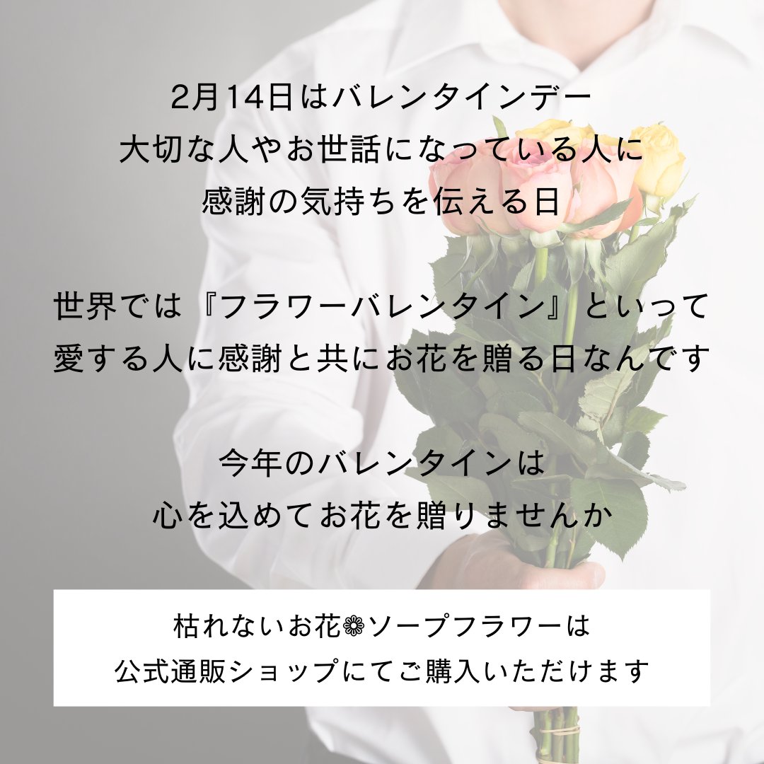 2月14日は #バレンタインデー✨

世界ではお花を贈るのがポピュラーな『#フラワーバレンタイン』
男性から女性へお花をプレゼントするそうです💐

枯れないお花 #ソープフラワー は、トップページの公式通販ショップにてご購入いただけます🌹
shop.mille-art.jp

#ミレニアムアート