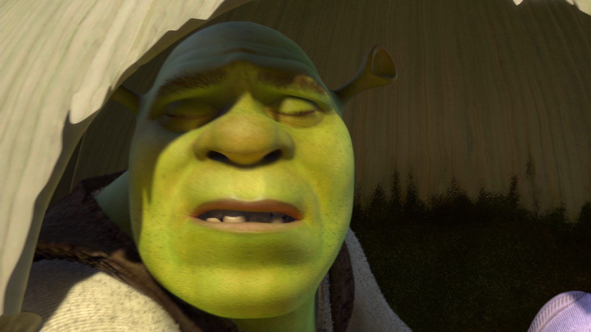 Shrek memes HD wallpapers