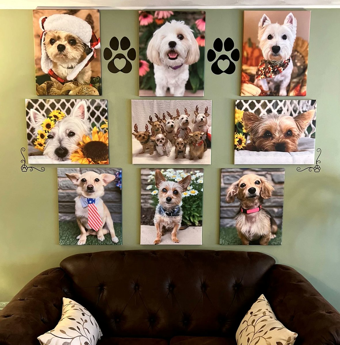 KoolfactoryN's tweet photo. All you need is love. And photos of your pets! 
Tania shared this paw-some gallery wall of her pups 🐾 https://t.co/m9ABqHCQLs