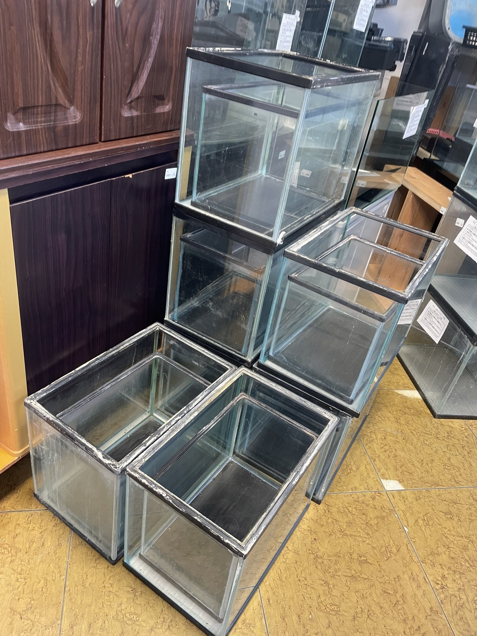 ❤かわいいペットに❣️格安❣️個別にもお譲ります☄️中古水槽☄️大・中大・中・小 中古水槽 - البحث / X