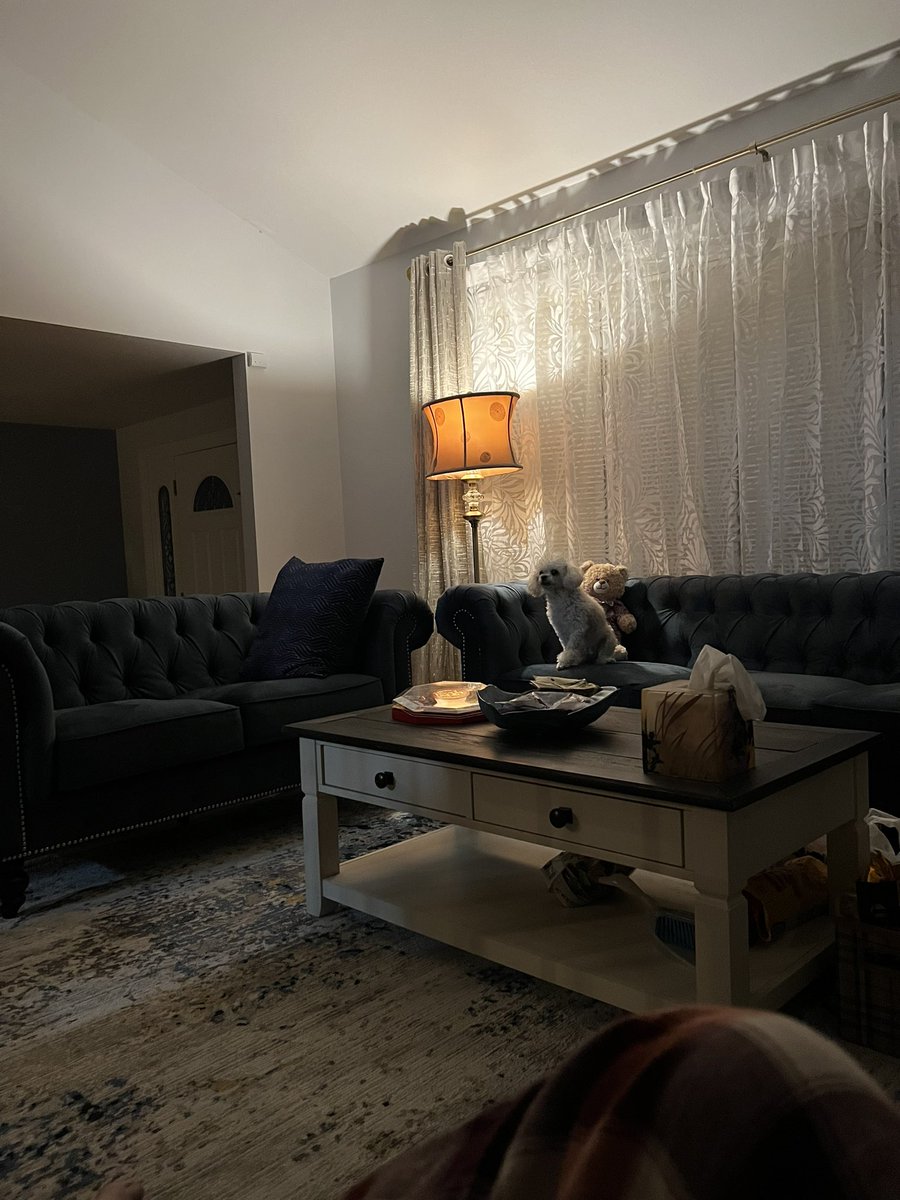 😂倒时差是很难过的一件事情