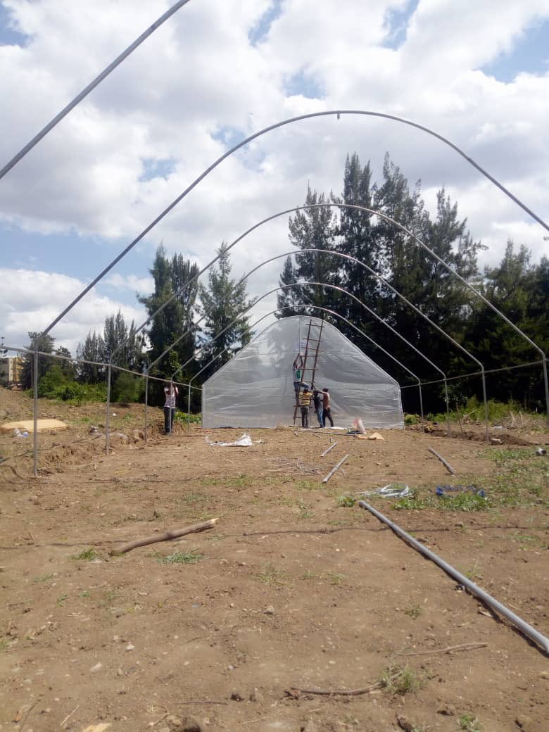 MumararunguDia1's tweet photo. Putting together green house https://t.co/CRjh4jRglu