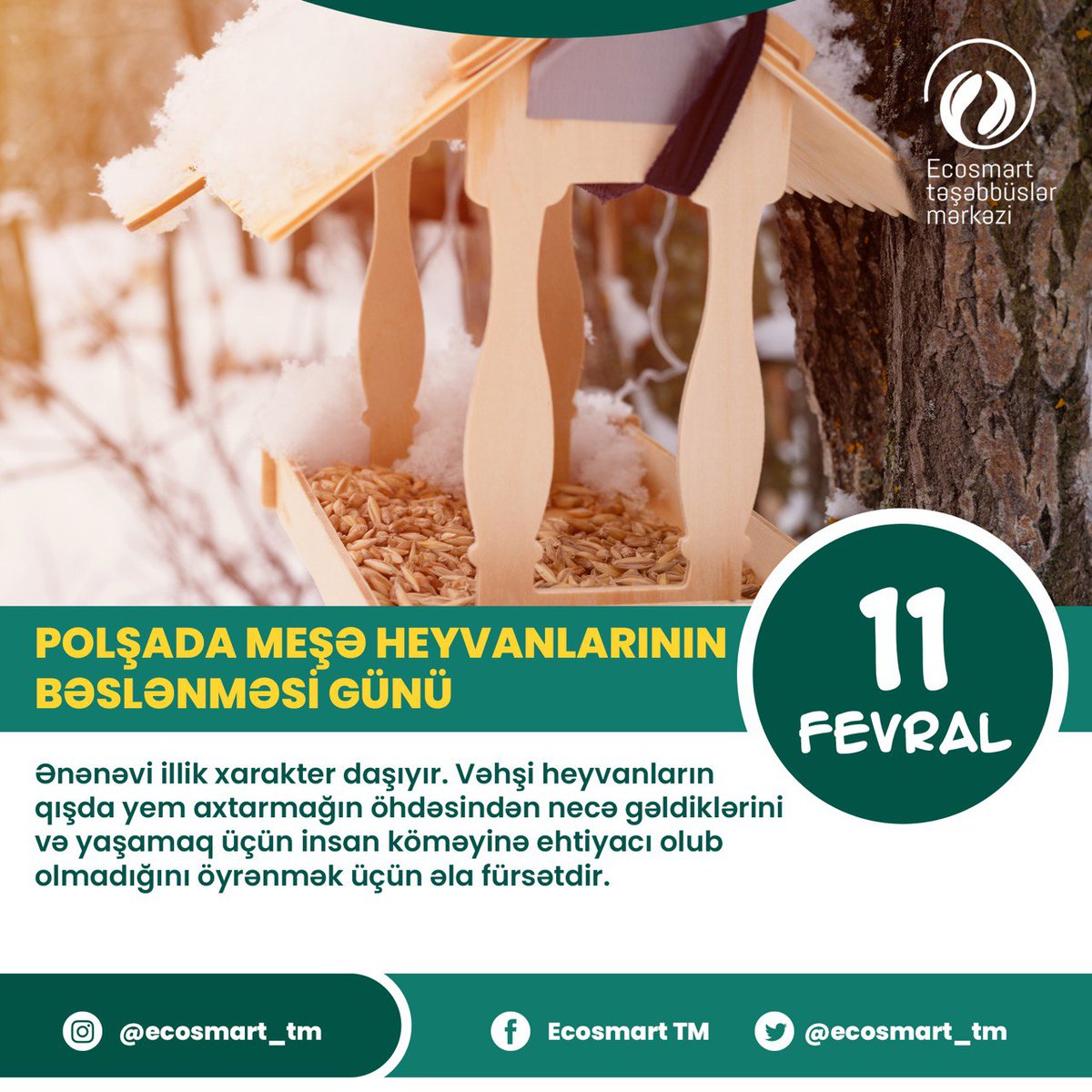 ecosmart_tm's tweet photo. 11 fevral - Polşada Meşə Heyvanlarının Bəslənməsi Günüdür. Vəhşi heyvanların qışda yem axtarmağın öhdəsindən necə gəldiklərini və yaşamaq üçün insan köməyinə ehtiyacını öyrənmək üçün əla fürsətdir.
#EcoSmart #saveecology #gələcəküçün #ecosystem #ekologiya #forthefuture #poland https://t.co/HKq8iJSyGD