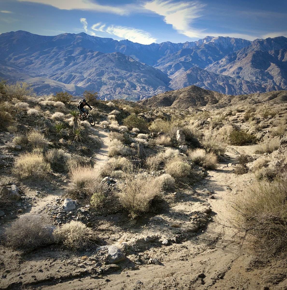 RealSpindle's tweet image. #PCE