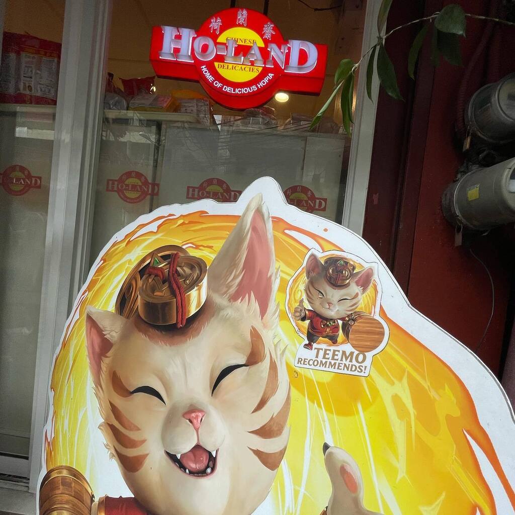 DigitalAnomaly's tweet image. Ho-land supremacy, Teemo-approved! instagr.am/p/CoguYQUvF4E/