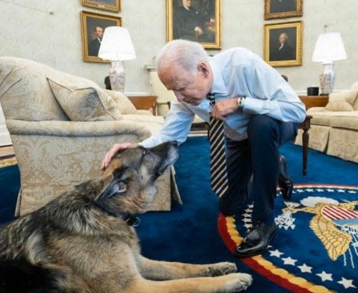 mangloora1's tweet image. استغفار
ابھی ایک ویڈیو دیکھی جس میں کوئی نعرہ لگا رہا تھا "امریکہ نے قوتے پالے وردی والے وردی والے
اختلاف اپنی جگہ لیکن یار ایسے نعرے نہ لگاو اگر امریکہ نے پال ہی لیے ہیں تو پلے رہنے دو
#DGISPR 
#COAS 
#CorruptGenerals #COAS #asimmunir