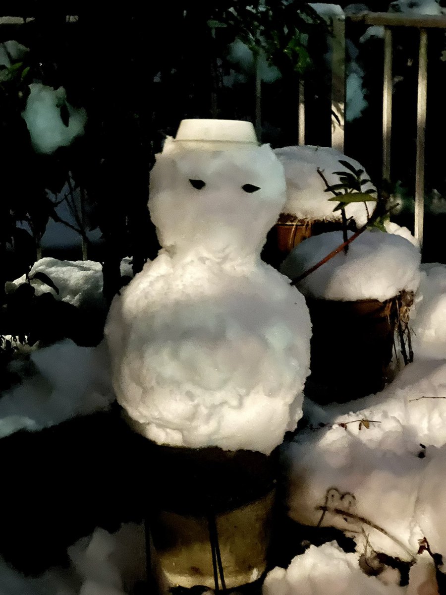 ryozo's tweet photo. Yesterday it was a big snow day in Hachioji. I shoveled the snow last night and made a little snowman. He who was standing in the night was a little bit scared. #hachioji #snowday https://t.co/b2ORl3dgGA