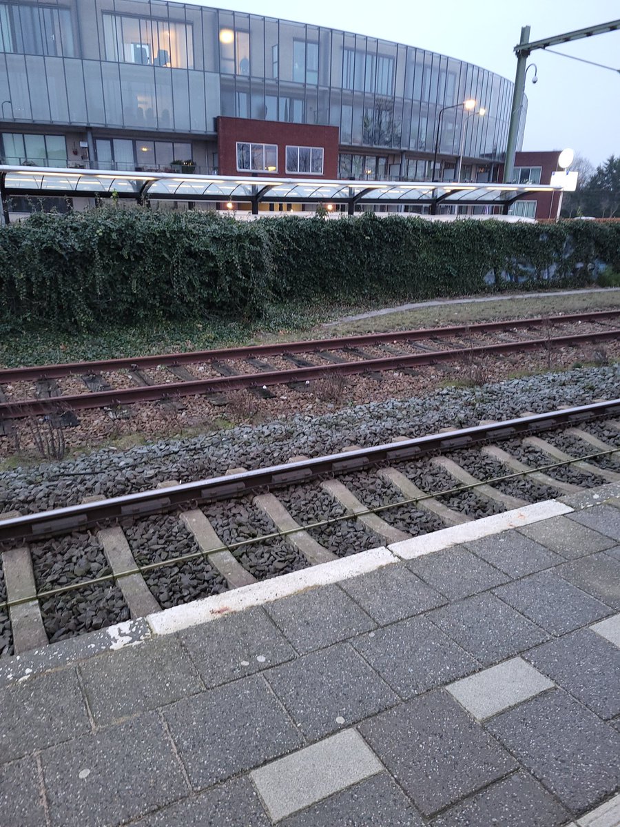 liendepien68's tweet photo. Blijft raar #ns #nederlandsespoorwegen #NS dat als je op zaterdag naar tilburg wilt, vanuit rijen, je eerst naar Breda moet. Hoezo 1 keer in het uur een trein. https://t.co/6fEHFLTc5k