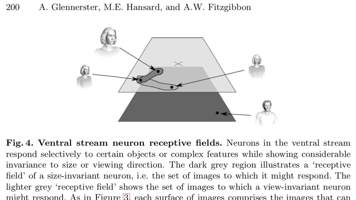 ag3dvr's tweet photo. @criticalneuro @SussilloDavid @FieteGroup @StefanoFusi2 @Awfidius And an even older one, arguing that eye movements across evolution (head movements if the eyes are fixed in the head, body movements if fixed in the body like a fly) are designed to keep the image on a restricted manifold (until a saccade to a new one). https://t.co/slW1KFT9Rg https://t.co/s3lz7vDDgw