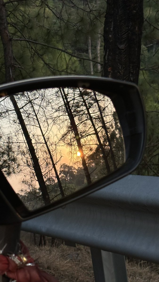 Imagine working remote from here 🌲🗻