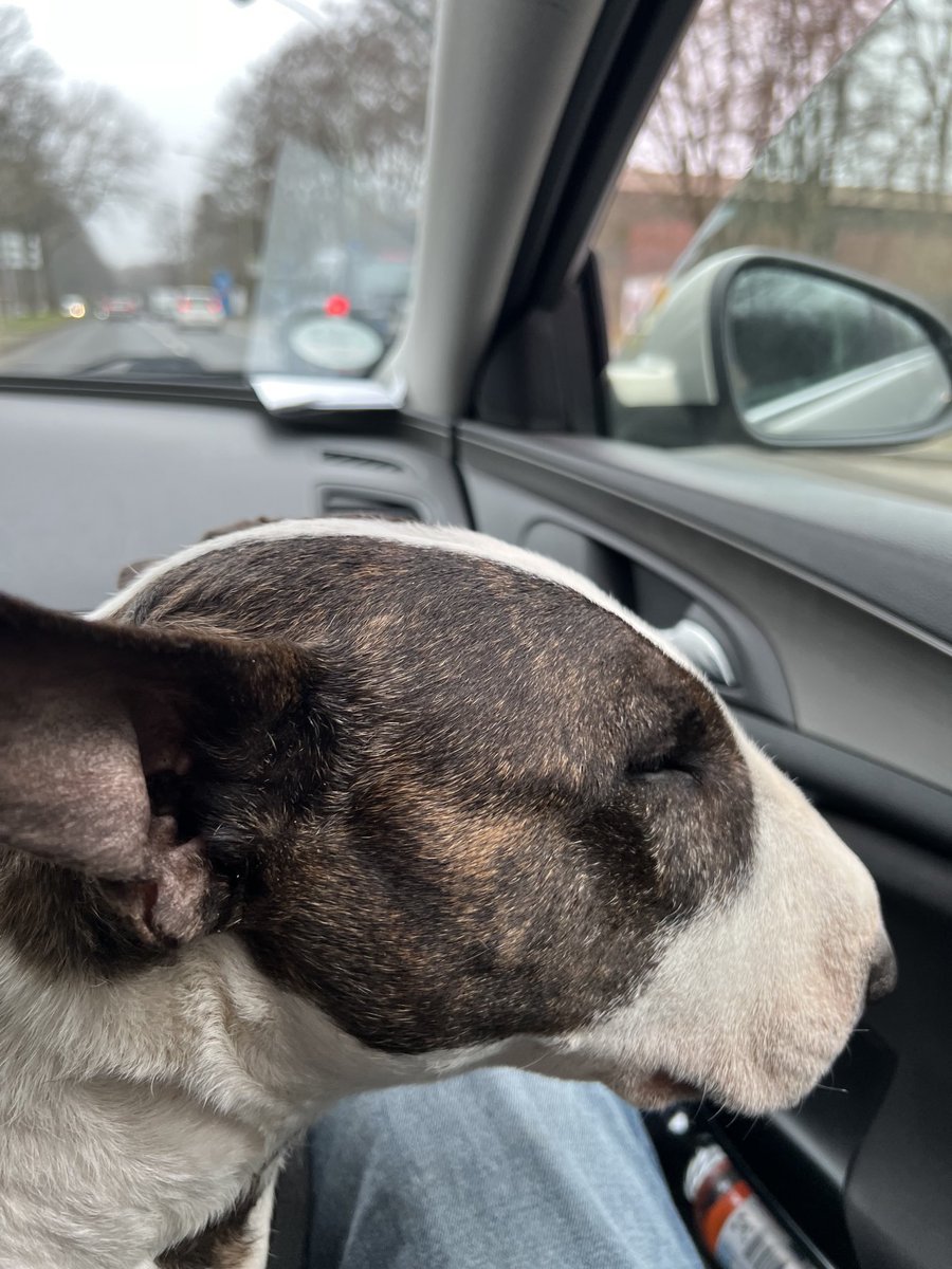 stefansoberg's tweet photo. Meeting Einstein this midday - Walter is on his way 😎 https://t.co/i5IVNTwyU5