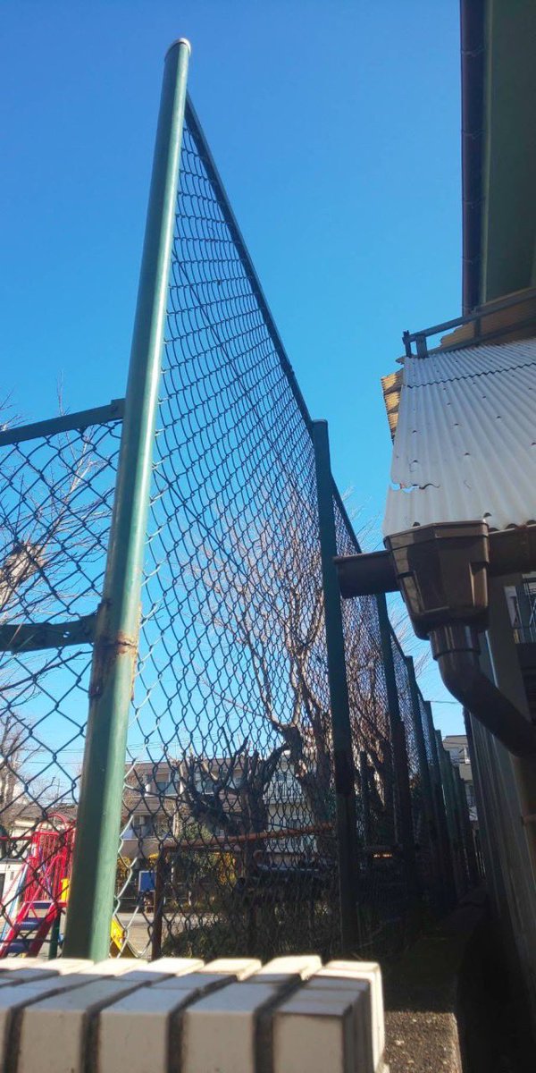 micchifuma's tweet photo. 千早４丁目公園　枝葉・枯葉の除去

公園の木の枝葉・枯葉が、隣接する民家との間のフェンスにたくさん絡まっていました。

公園緑地課に除去をお願いし、すぐに綺麗にしていただきました。☺

#千早4丁目公園 https://t.co/pFEC3c8P9K