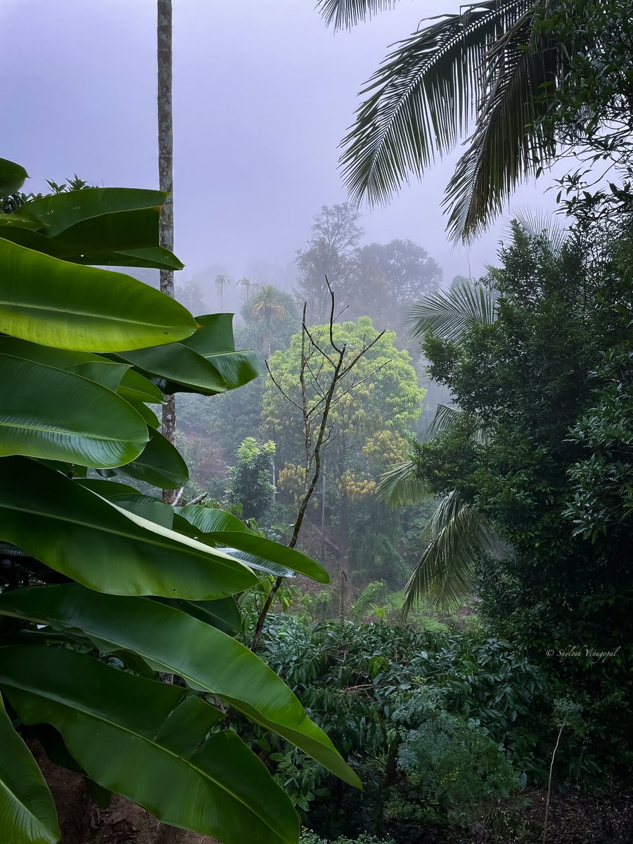 Syleshvenugopal's tweet photo. @KSivachukArt #photographer #photo #photography https://t.co/wVTCMD4RqA