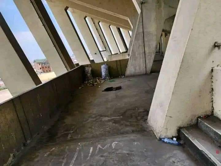 Abinel_Ilunga's tweet photo. Je n'arrive pas à croire que c'est dans ce stade que le Pr @fatshi13 a regardé les match des Leopards, ce stade qu'on a utilisé pour accueillir le pape @Pontifex_fr 
SVP https://t.co/mxrHE0yPl0