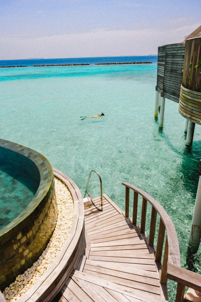 seasouldiary's tweet photo. The Nautilus Maldives – Baa Atoll, Maldives 🇲🇻 

#maldives #travelphotography #LuxuryTravel https://t.co/pWSSI9wtOg