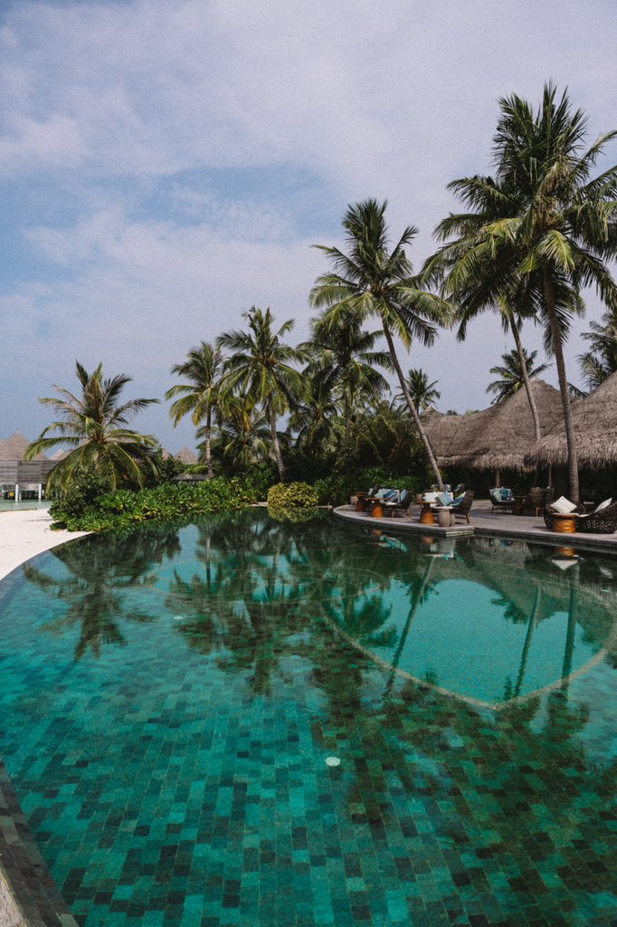 seasouldiary's tweet photo. The Nautilus Maldives – Baa Atoll, Maldives 🇲🇻 

#maldives #travelphotography #LuxuryTravel https://t.co/pWSSI9wtOg