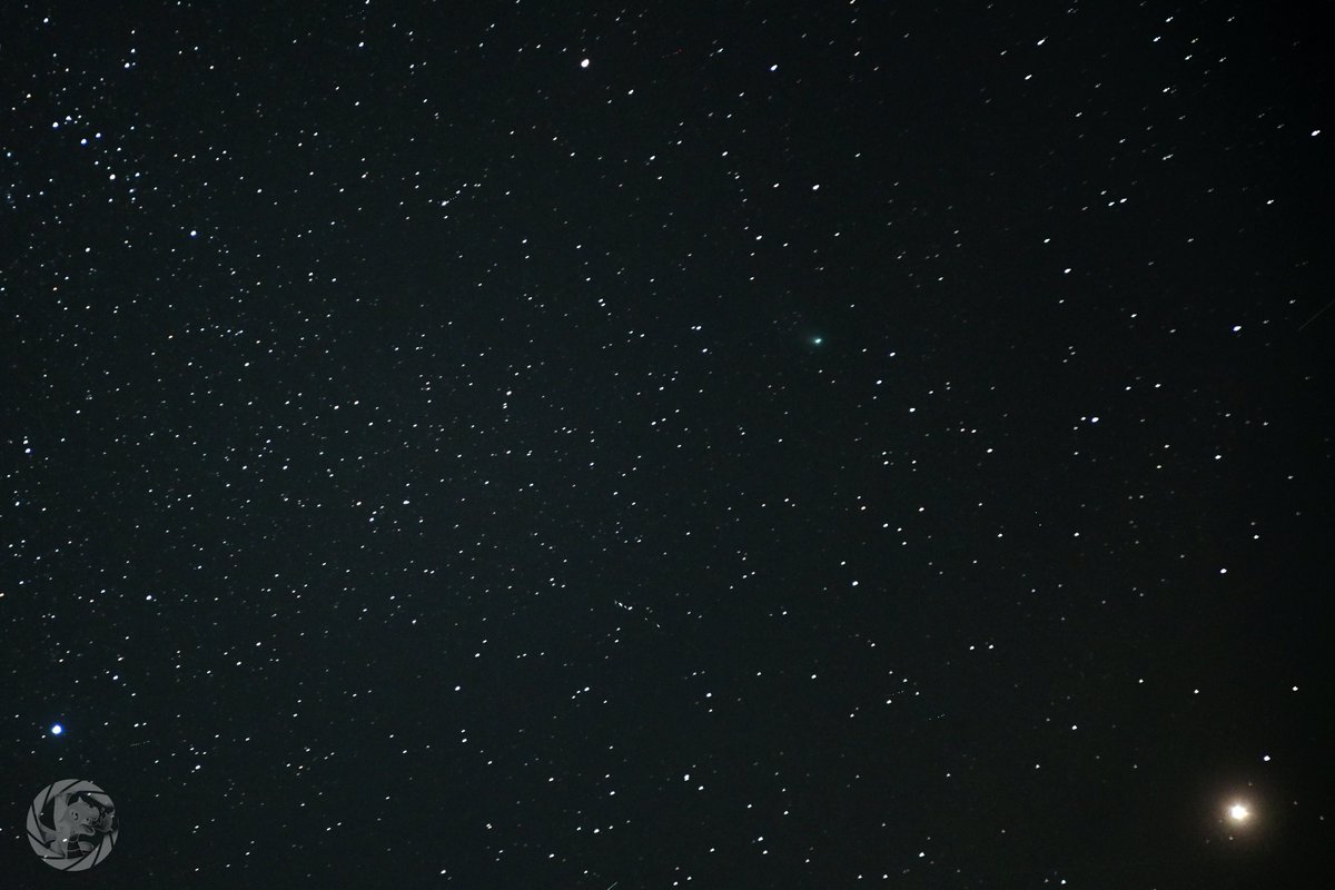 Mars &amp; The #Comet

Cheap lens, cheap tripod, back garden overlooked by a streetlight. You don't need to spend thousands or travel miles to see the wonders of the night sky 

(see alt text for details) 

#WelshPhotography #AstroPhotography #BackyardAstro #nikon #astronomy