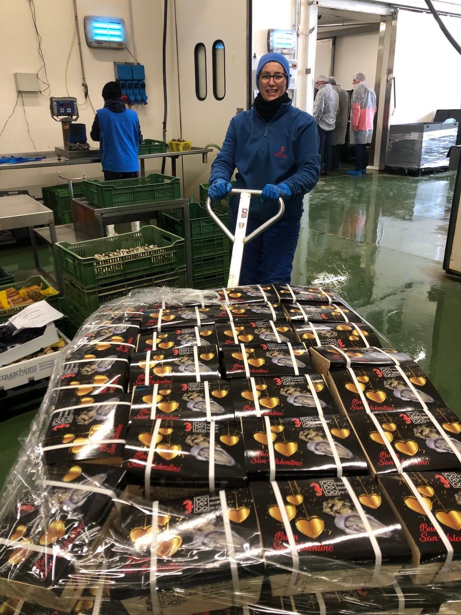 CristianMaretti's tweet photo. ❤️OSTRICHE SEMPRE GREEN A SAN VALENTINO❤️
IL #COPEGO LANCIA IL PACKAGING DEDICATO AGLI INNAMORATI
Quindi non più solo Francia ma anche Italia con #ostricarosadiScardovari #ostricaverdedelGolfoPoeti #ostricabiancaGargano #ostricaSardegna e #ostricaGoro: l’ostrica d’oro https://t.co/ko7ZdRotxD