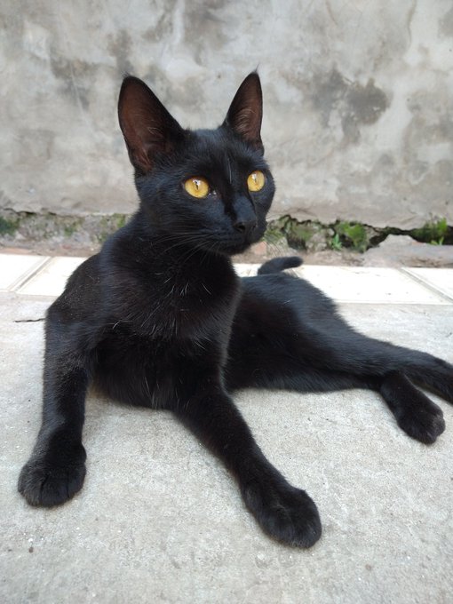 La amo con todo mi coraz&oacute;n! Llego a casa y viene llorando para q le haga mimis y siempre quiere dormir