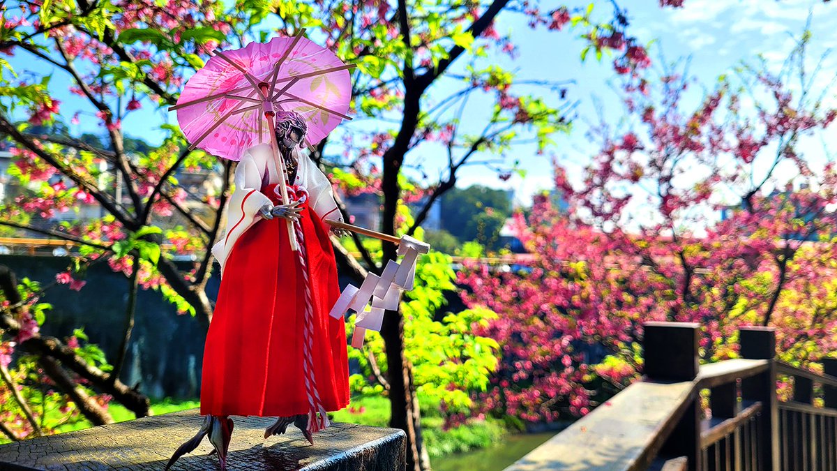 Bro_XIII's tweet photo. #桜祭り #紡ギ箱 #燕巫女
@Yoshi6054 https://t.co/JOCWc1XMy6