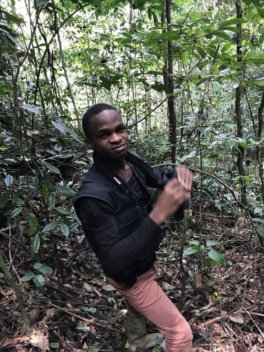 SonneNorbert's tweet photo. 7/7 @Essiyann is our biomonitoring intern in Campo. He has had the opportunity to rediscover nature and the environment at AWF. He believes that the monitoring of wildlife &amp; flora &amp; understanding their interactions with people is indispensable for sustainable development. https://t.co/P8OfHQdBOF