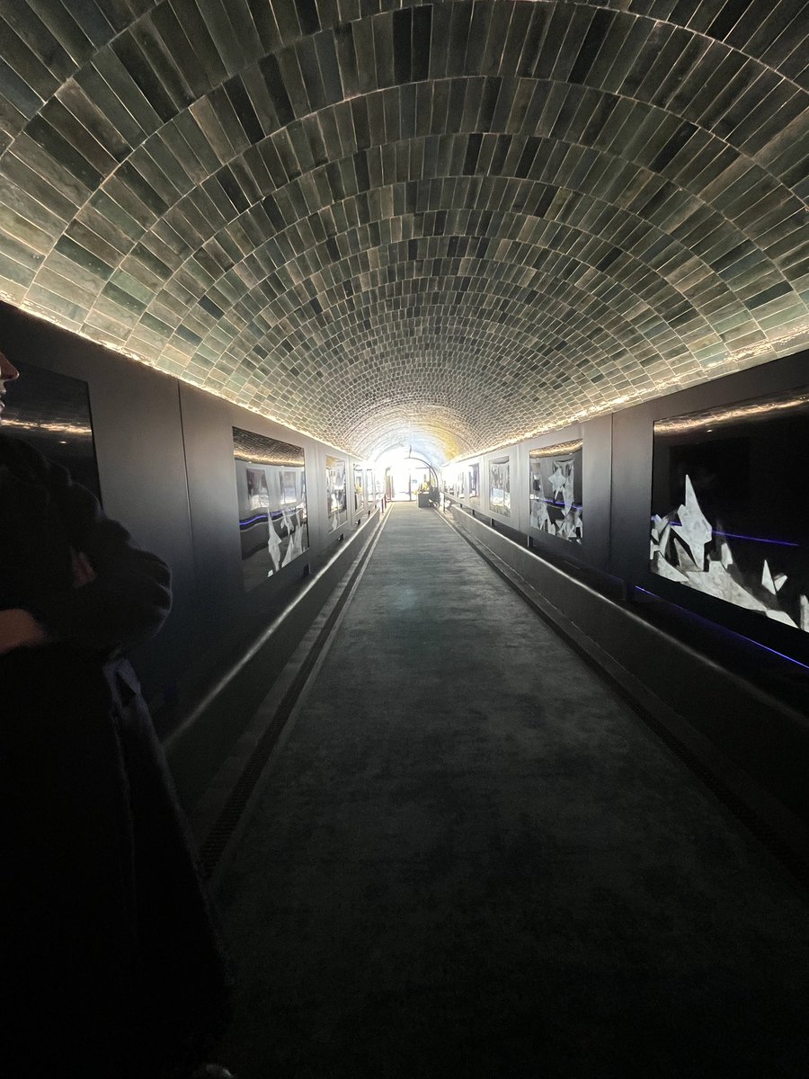 Luisa Ausenda tweet media