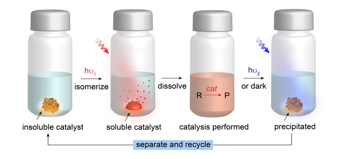 Grace Han (@gracegdhan) on Twitter photo Excited to share our study on the optically💡controlled recovery and recycling♻️of organocatalysts enabled by #photoswitches now published <a href="/angew_chem/">Angewandte Chemie</a>! Proud of the team <a href="/TPqiuqf/">Qianfeng QIU</a> <a href="/leexiangx_/">Xiang Li, Ph.D.</a> <a href="/brandeischem/">Brandeis Chemistry Department</a>👏onlinelibrary.wiley.com/doi/10.1002/an… Excited to share our study on the optically💡controlled recovery and recycling♻️of organocatalysts enabled by #photoswitches now published <a href="/angew_chem/">Angewandte Chemie</a>! Proud of the team <a href="/TPqiuqf/">Qianfeng QIU</a> <a href="/leexiangx_/">Xiang Li, Ph.D.</a> <a href="/brandeischem/">Brandeis Chemistry Department</a>👏onlinelibrary.wiley.com/doi/10.1002/an…