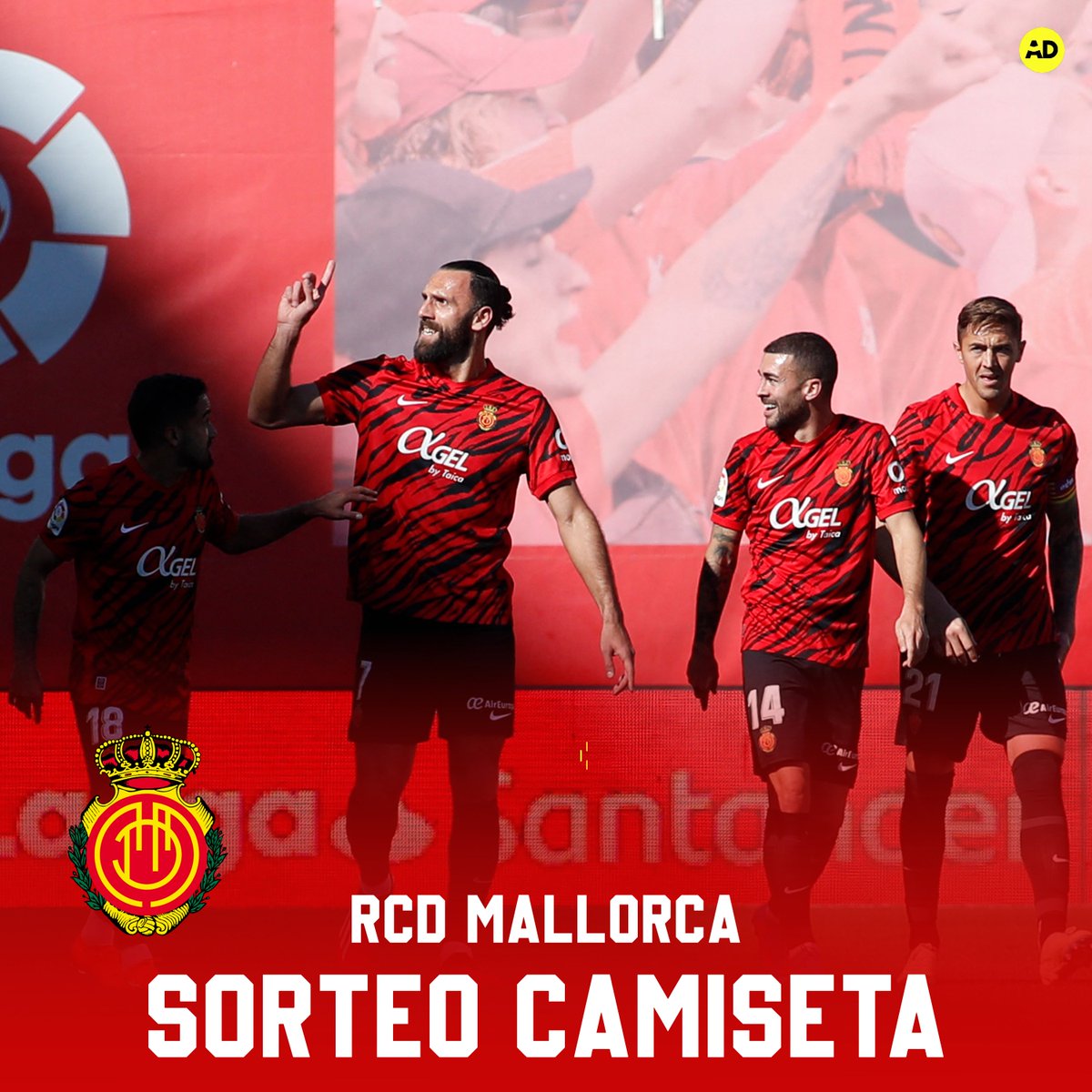 🎁 ¿Quieres ganar una 𝗰𝗮𝗺𝗶𝘀𝗲𝘁𝗮 del <a href="/RCD_Mallorca/">RCD Mallorca</a>?

📌 Si esta tarde el Mallorca gana, 𝘀𝗼𝗿𝘁𝗲𝗮𝗺𝗼𝘀 𝟭 𝗰𝗮𝗺𝗶𝘀𝗲𝘁𝗮 entre todos los que den RT y nos sigan.

🍀 ¡Mucha suerte a todos los participantes!
