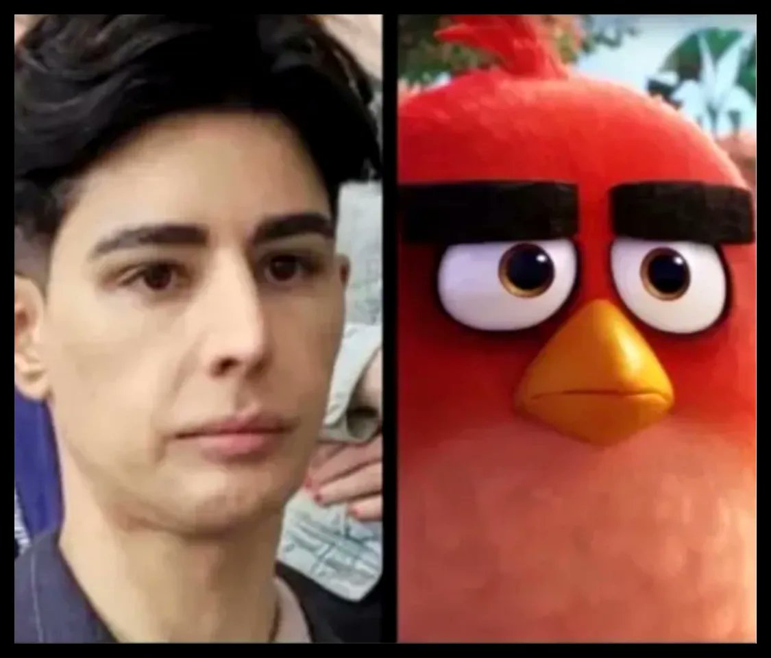 TheWantonWench's tweet photo. Such an uncanny likeness 🤭
#OmidScobie #AngryBird https://t.co/FvumL9xASU