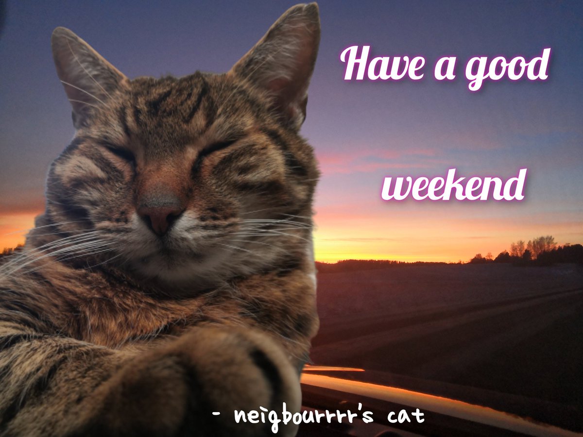 Yeah. You.
#Finnishgirl #Streamer