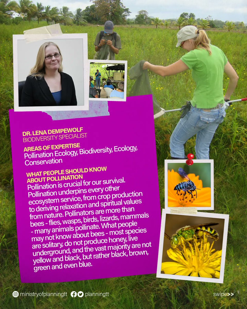 PlanningTT's tweet photo. As the world marks International Day of Women and Girls in Science #IDWGIS with a focus on the SDGs, we asked some of our researchers, scientists and policymakers to share one thing people should know about their area of expertise. #womeninscience #SustainableDevelopment https://t.co/fVRC6D0XTA