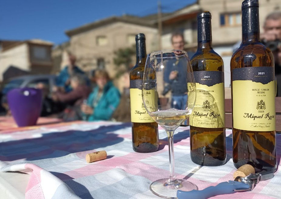 Quin tast!! bon vi, solet i bona companyia! <a href="/CellerMiqRoca/">Celler Miquel Roca</a> <a href="/GeoparcOrigens/">Geoparc Orígens</a> <a href="/AtgPallars/">Al teu Gust, Pallars</a> #bibliotequesambDO