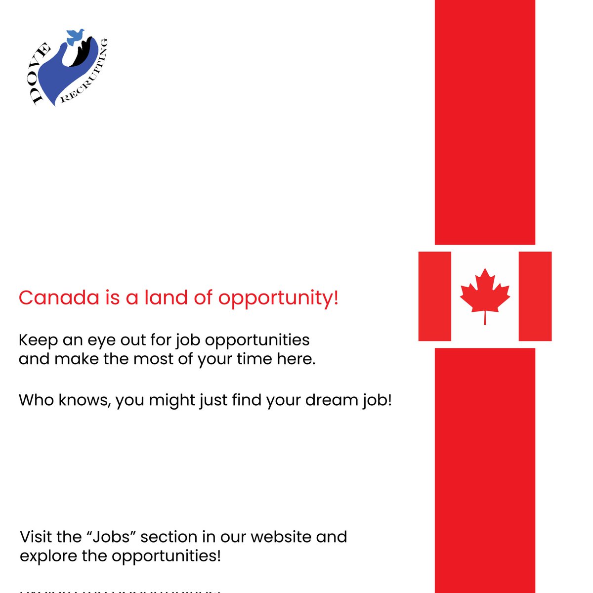 DoveRecruiting's tweet photo. Watch out for job opportunities and make the most of your time in #Canada !

Because who knows, you might get your #dreamjob!

Visit the Jobs section in our website for more.
#Recruiting #consulting #foreignjobs #foreignworkers #Trending https://t.co/fFGQWWveR5