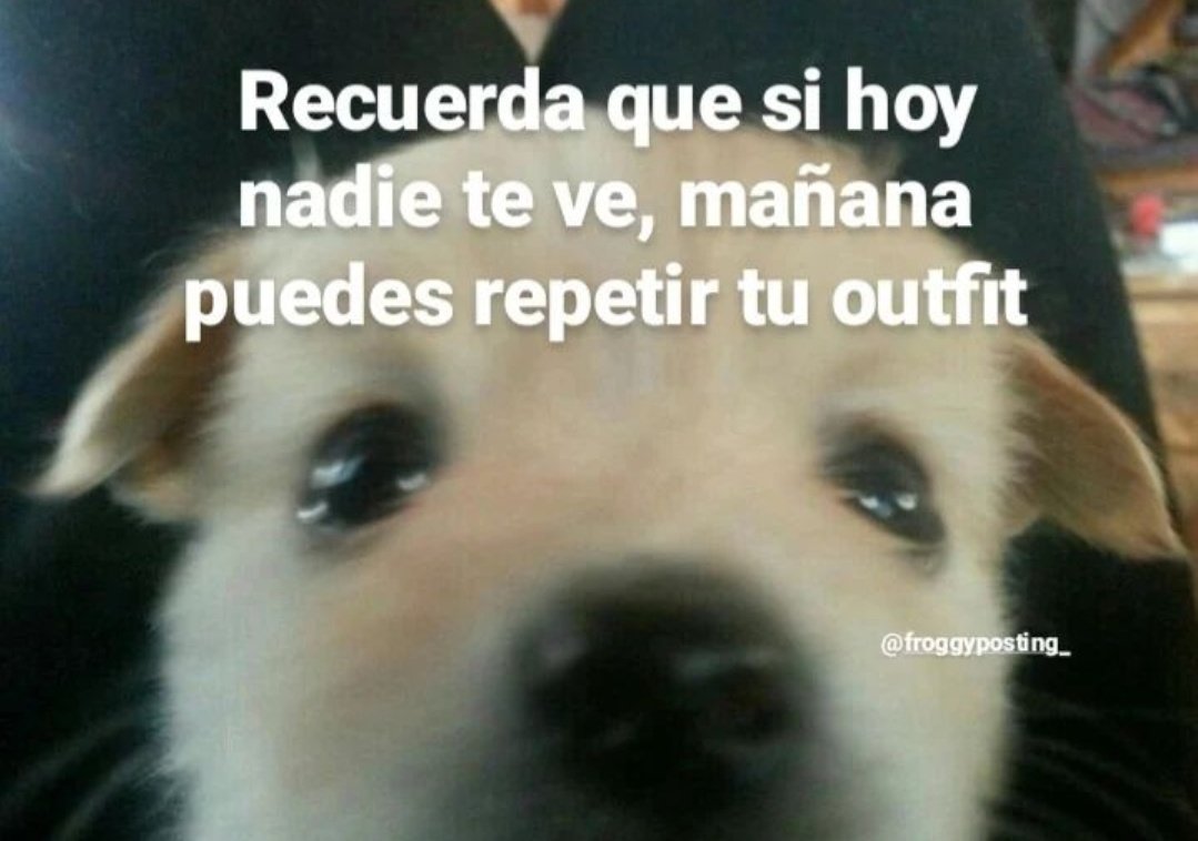 skereunpesado's tweet photo. https://t.co/gIKj5ZO5QB