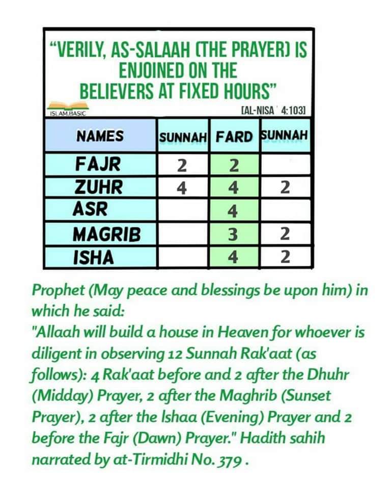 Rak'at & Timings Of SALAH {Series} ☆》Must Learn. 🌱 - Thread from Cool ...
