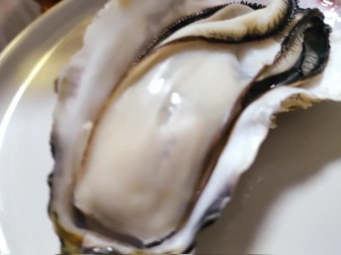 大量の牡蠣をいただき!牡蠣パしましためっっちゃおいしかったぁ～牡蠣ー! 