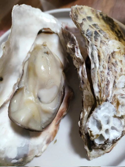 大量の牡蠣をいただき!牡蠣パしましためっっちゃおいしかったぁ～牡蠣ー! 