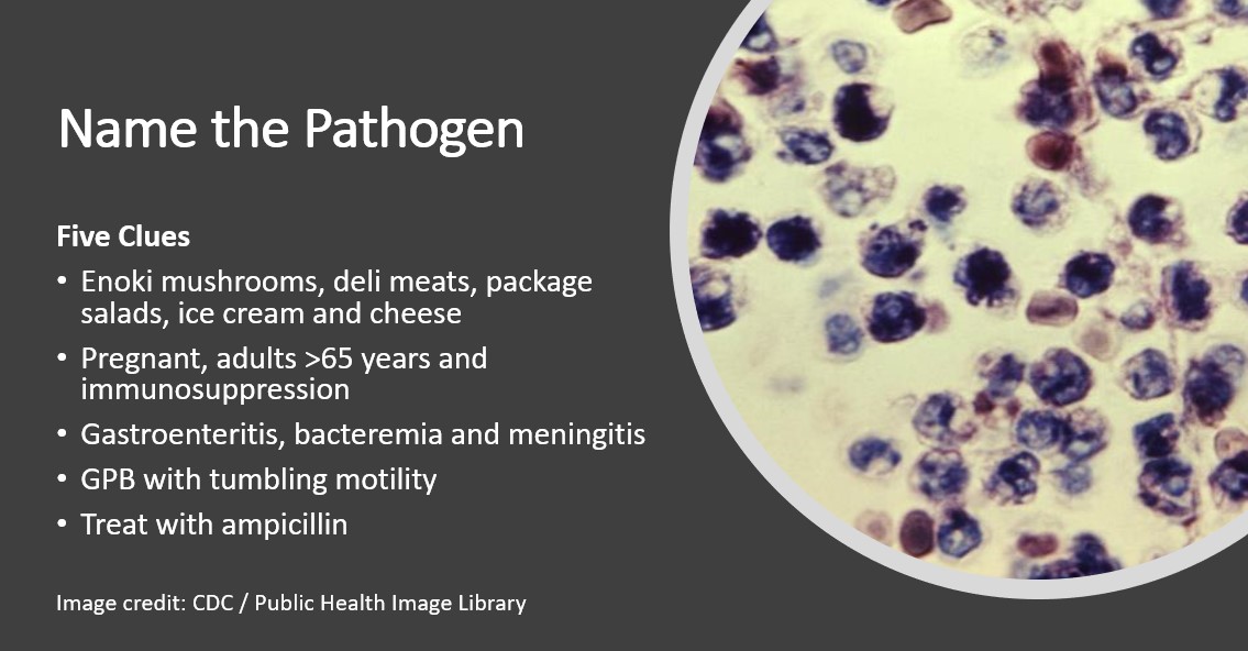 Weekend Digest

Name the Pathogen

Five Clues
1. Enoki mushrooms
2. Pregnancy
3. Gastroenteritis and meningitis
4. Tumbling motility
5. Ampicillin